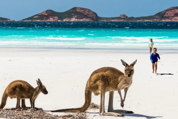 kangaroo island