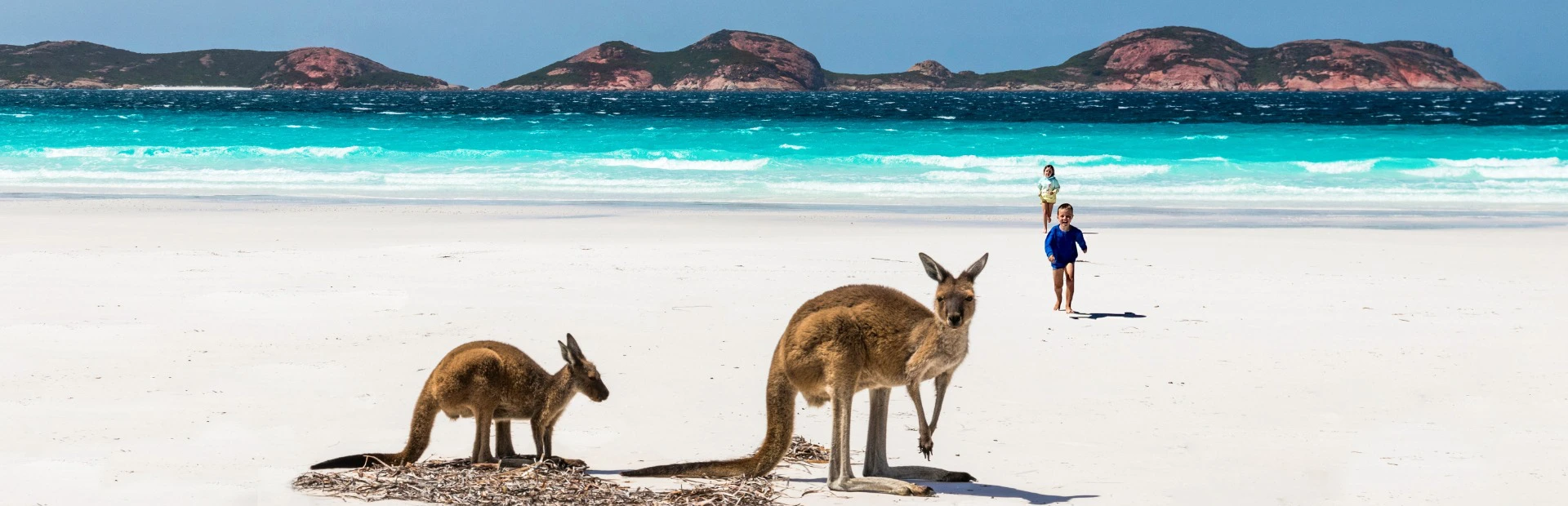 kangaroo island