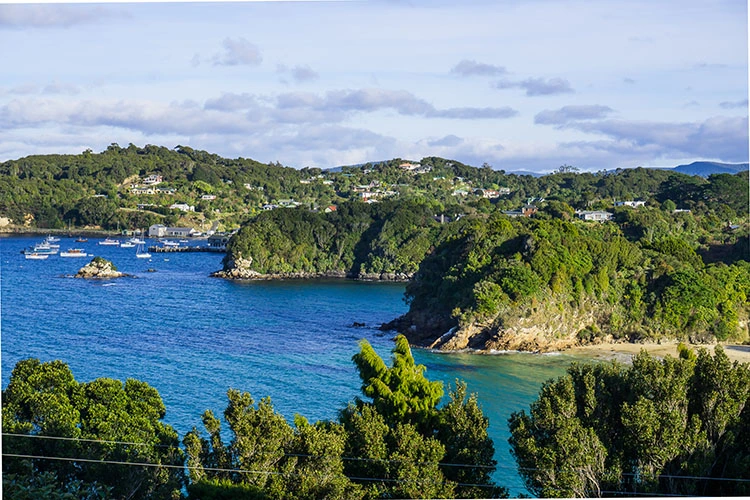 stewart island rakiura