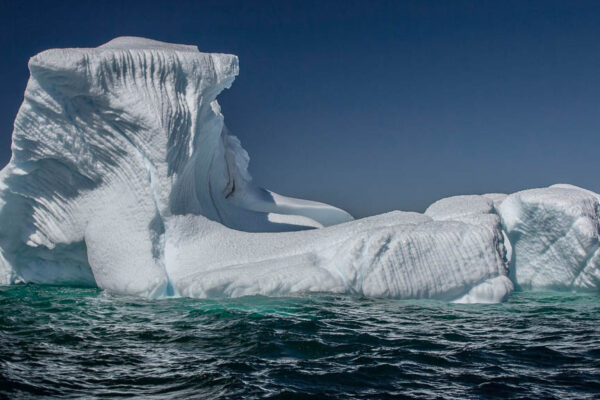 Fogo Island Tour