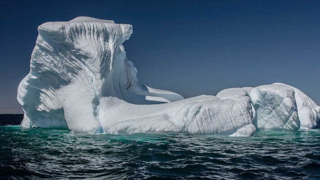 Fogo Island Tour